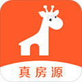 2025年澳门六今晚开奖号码